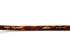LIBRARY col.Sherry Tortoiseshell